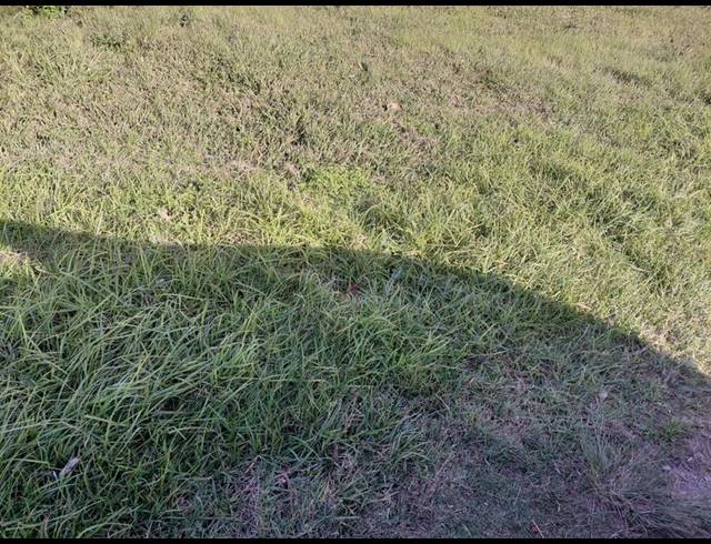 LAND FOR SALE IN SCENERY PARK